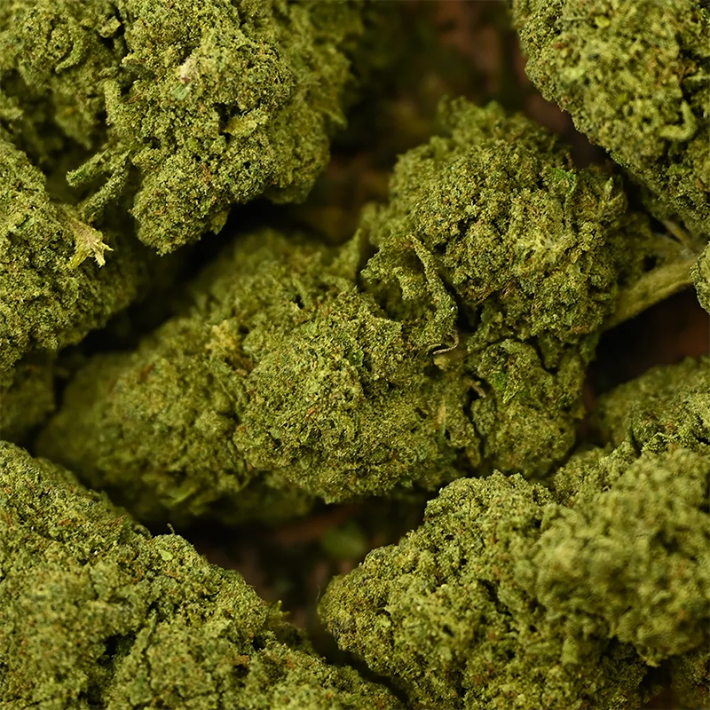 La Boutique De L'Image Primaire