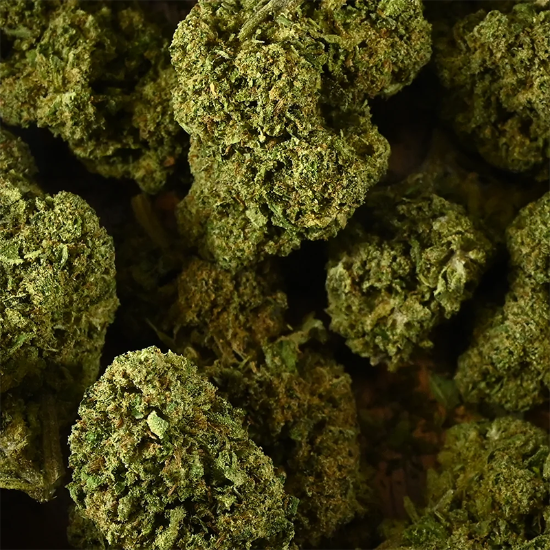 La Boutique De L'Image Primaire