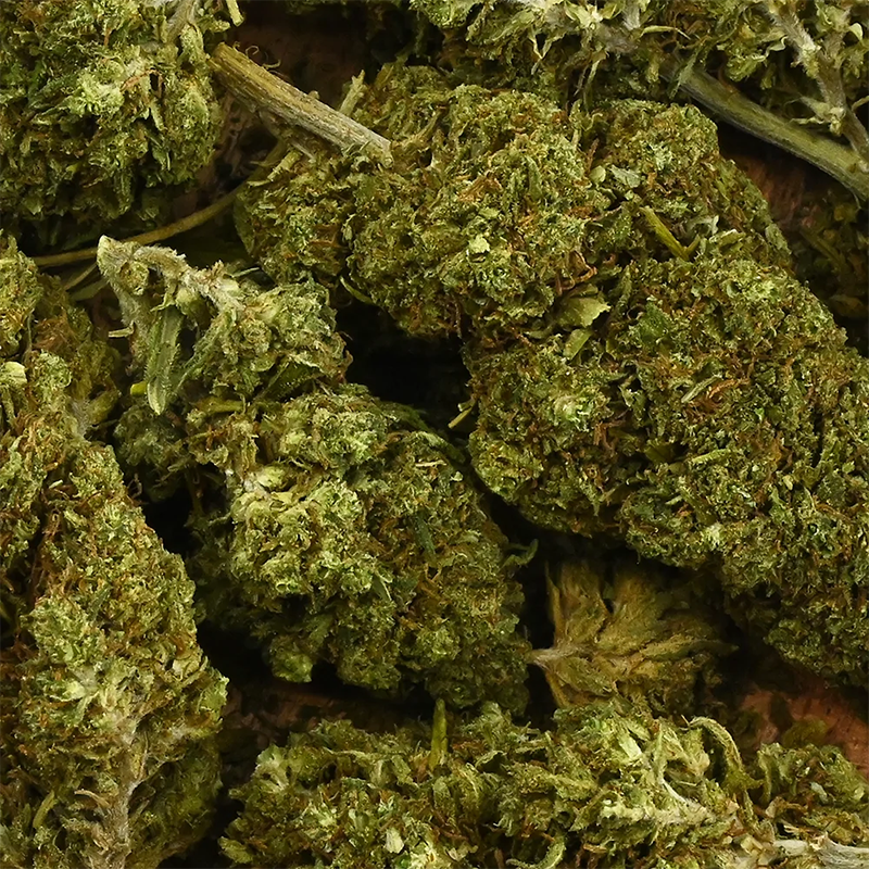 La Boutique De L'Image Primaire