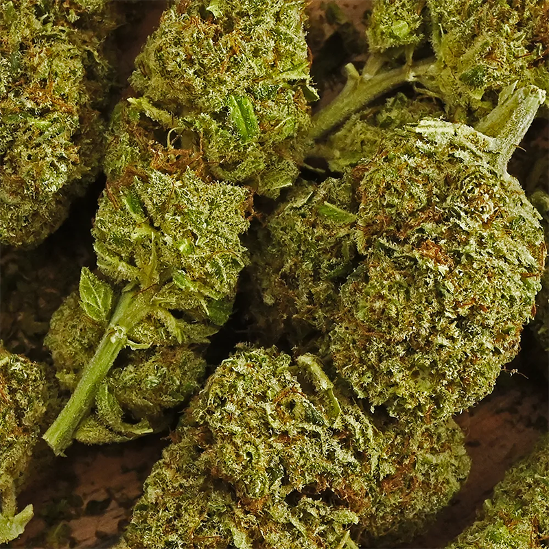 La Boutique De L'Image Primaire